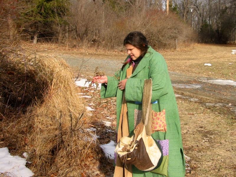 Gwynedd Gathering Herbs